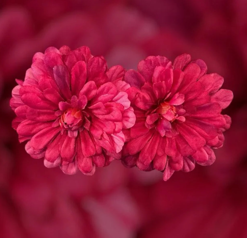 Flower Bomb